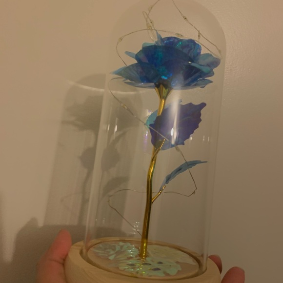 Rose - Picture 2 of 10